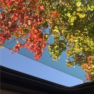 Meet your Posher, Natalia